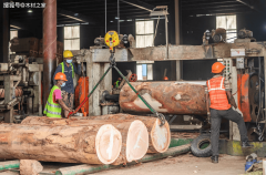 中国订单“腰斩”！木材行业危机非洲国度告急