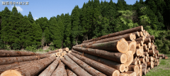 卖中国的木材越来越少价钱却越来越高！国内木